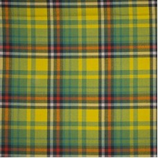 Reiver Light Weight Tartan Fabric - Bellspool Bright Check